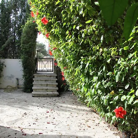 Demetra Bungalow * Pegeia